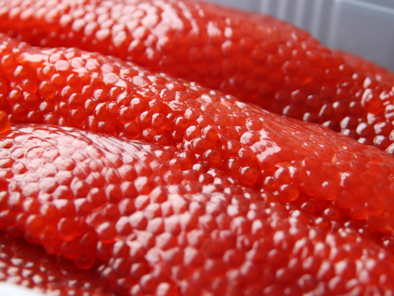 紅鮭醤油筋子（切子込）/400g｜厳選した北海道の海産物の産直通販、お