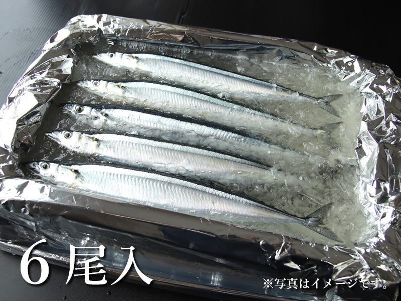 生さんま 6尾入