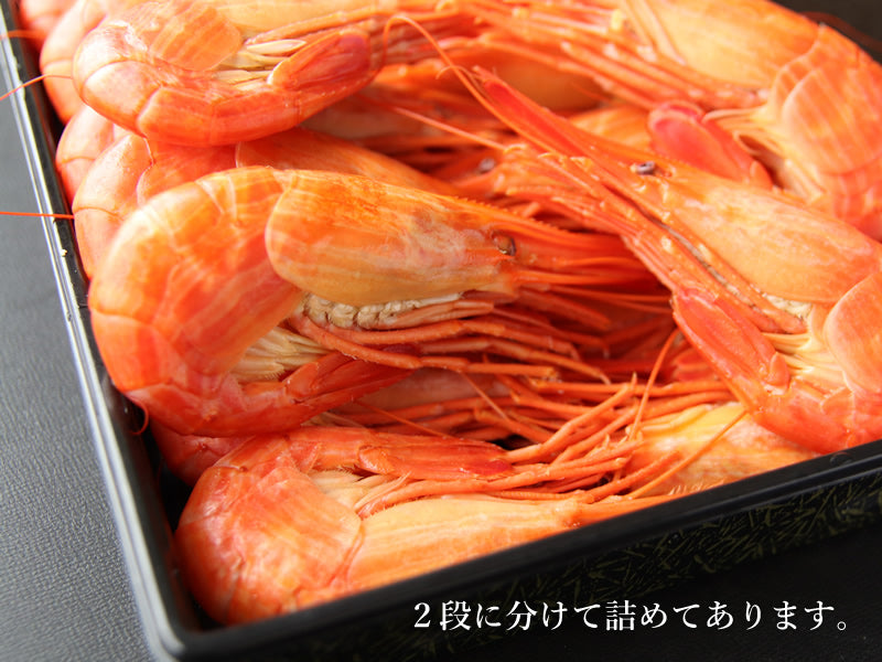 厚岸産 北海しまえび（浜茹で・急速冷凍）500g 約25尾前後｜北海道 夏