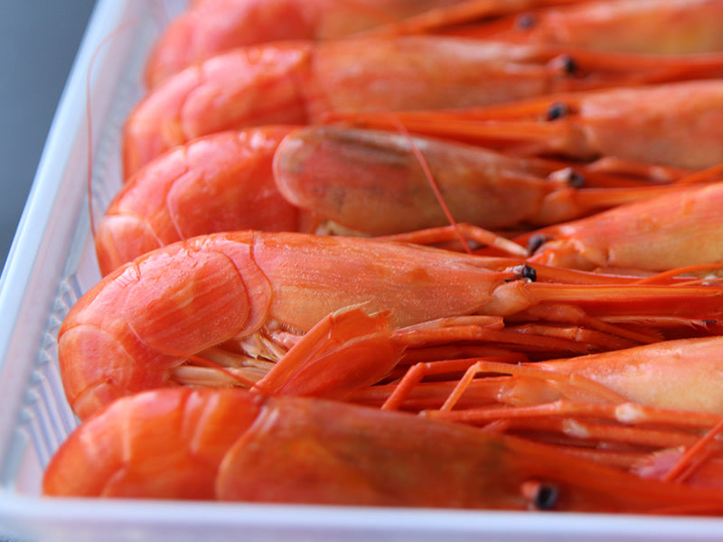 北海しまえび/500g｜厳選した北海道の海産物の産直通販、お取り寄せ