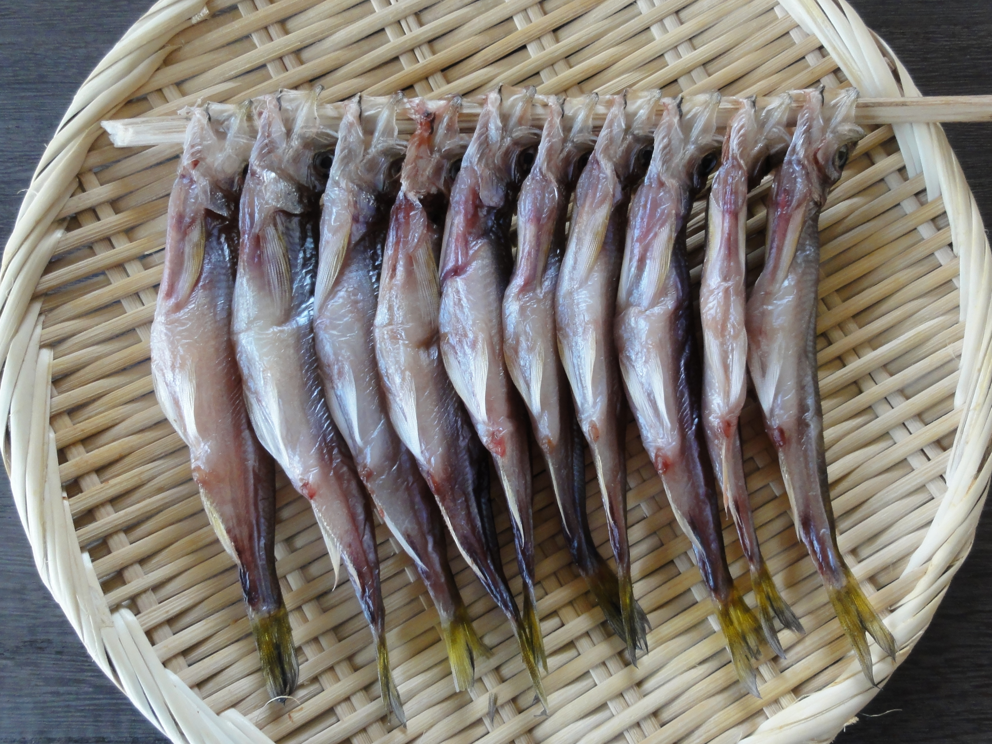 子持ちししゃも/10尾｜厳選した北海道の海産物の産直通販、お