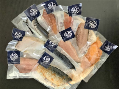 レンちん君 10種セット【送料込】