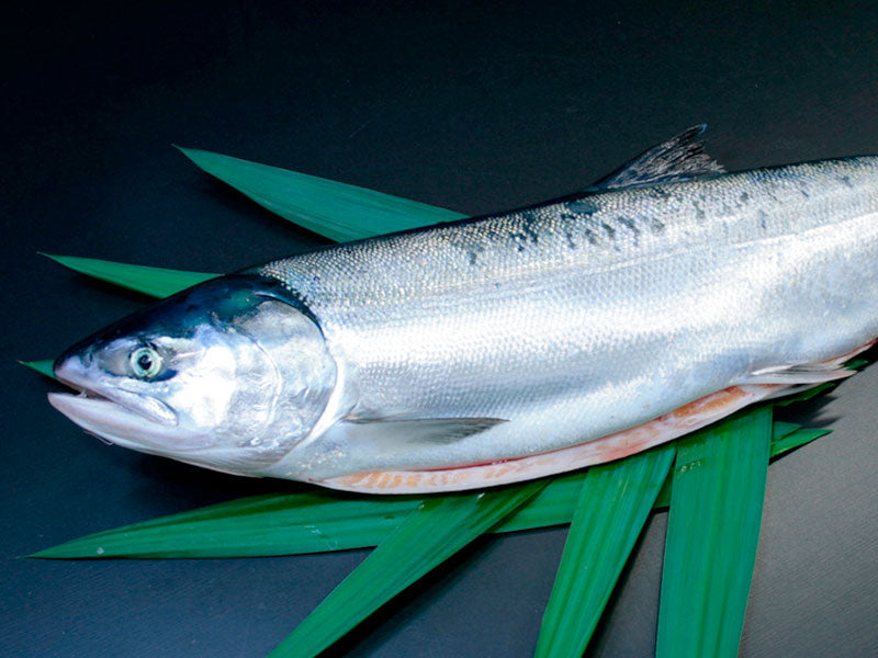 時知らず/2.5kg｜厳選した北海道の海産物の産直通販、お取り寄せギフト – 釧路北匠