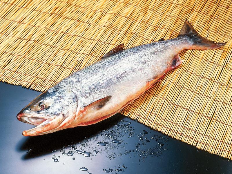 新巻鮭/3kg｜厳選した北海道の海産物の産直通販、お取り寄せギフト