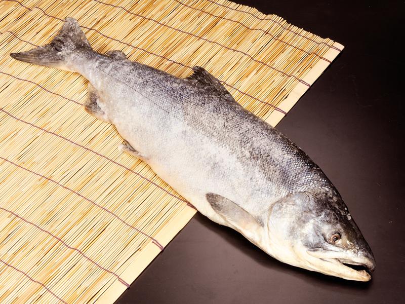 山漬鮭/2.0kg｜厳選した北海道の海産物の産直通販、お取り寄せギフト　–　釧路北匠